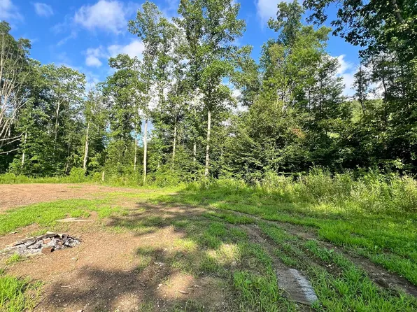 0 Straight Fork Rd, Vanceburg, KY 41179