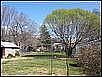 Large Back Yard
