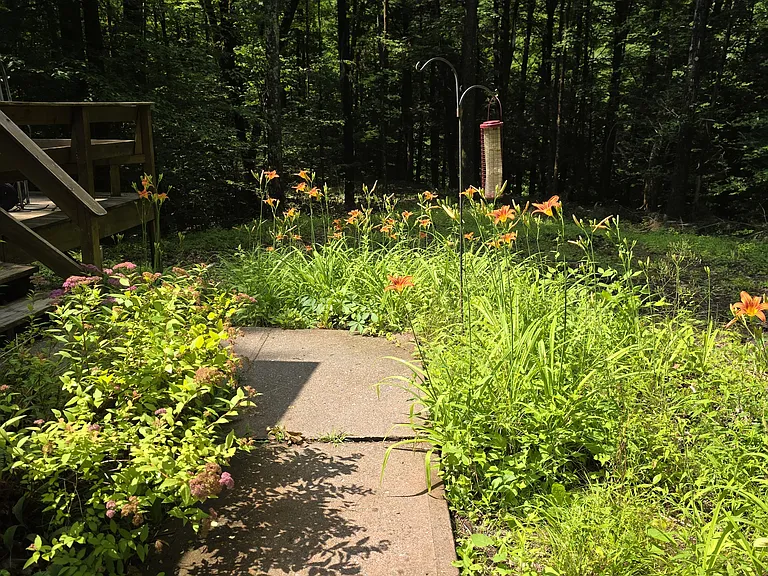 Walkway to deck