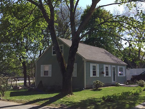 lovely flowers and landscape