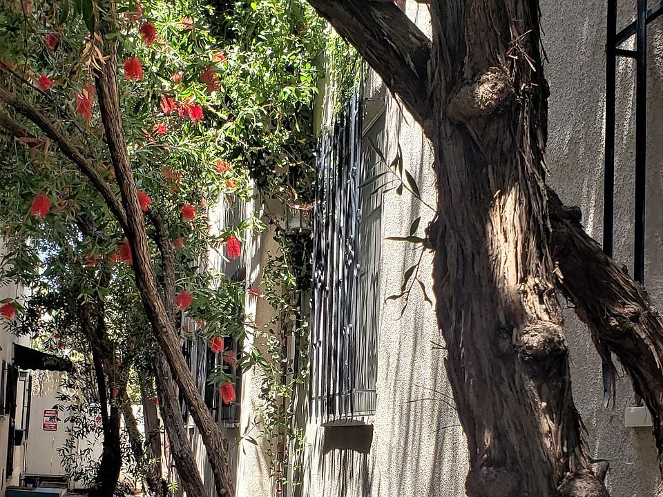 ENTRY WALKWAY