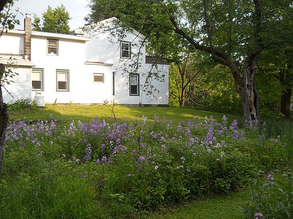 Back view of house & garden
