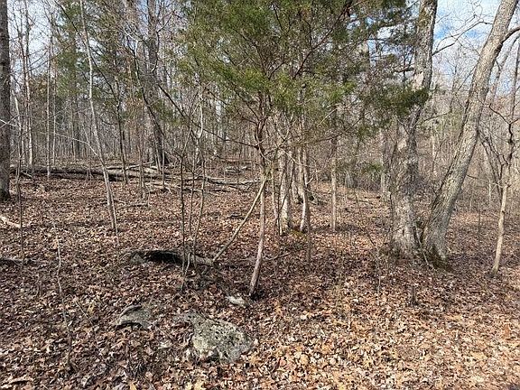 5th image of 14 Hamilton Lee Rd