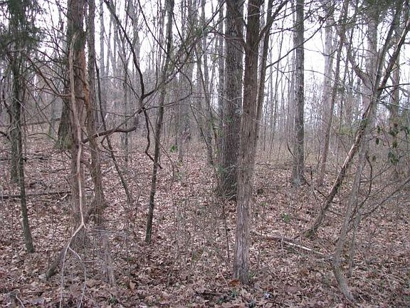 3rd image of 33 Bluff Dr Lot 33