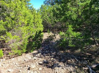 113 Skylar Dr S, Hunt, TX 78024