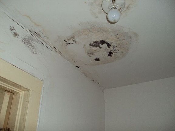 4th image of 106 Piedmont Ave