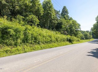 Henry Town Rd LOT 4, Sevierville, TN 37876