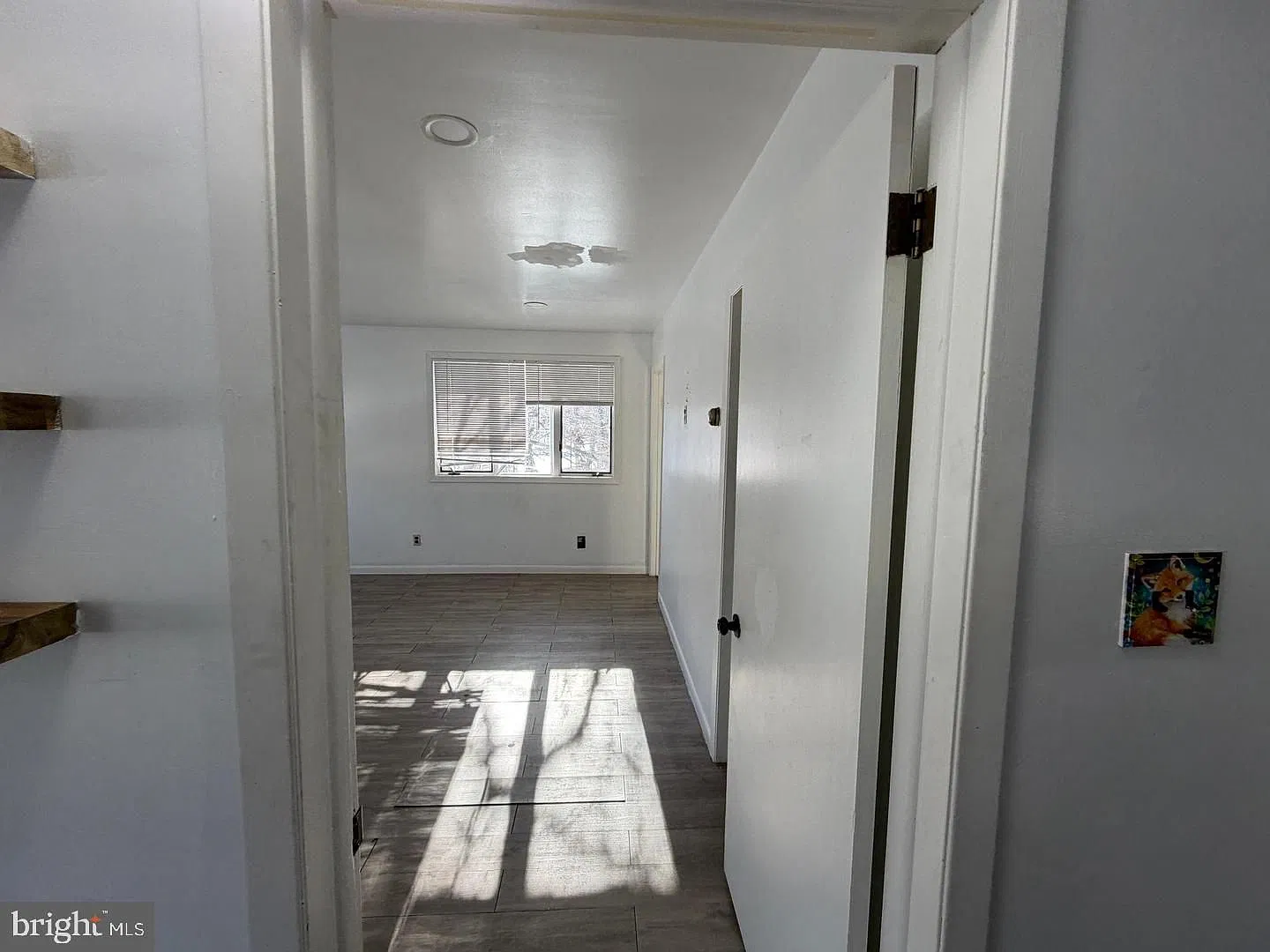1 bed, 1.0 bath, 800 sqft, $1,500 — Photo 3