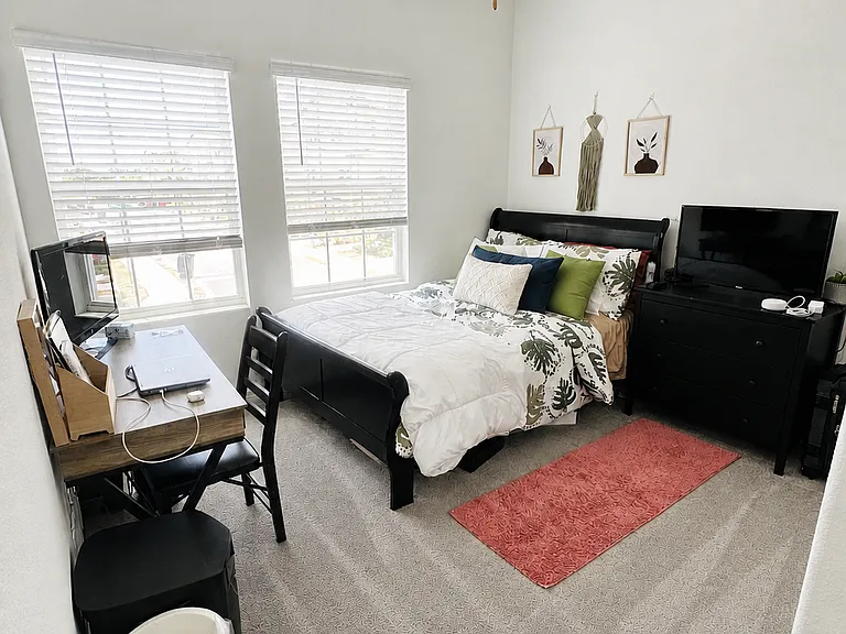 4573 Tuscan Loon Dr — Photo 13