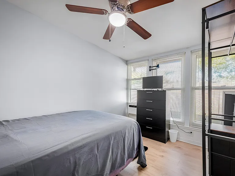 Holly Hill Cv — Photo 1