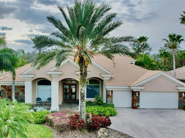 976 Cypress Cove Way, Tarpon Springs, FL 34688