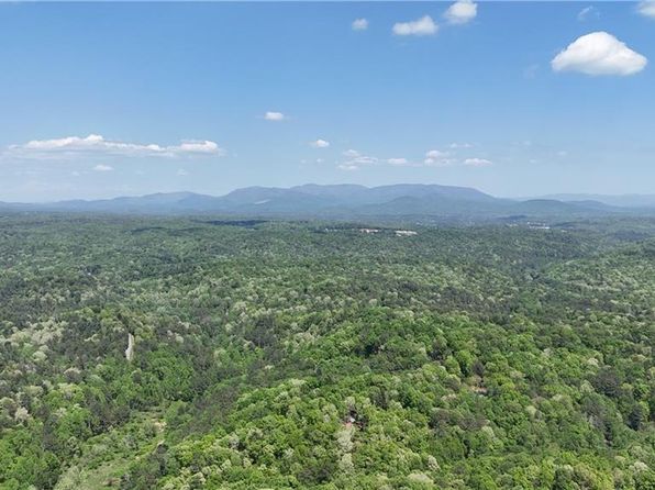 445 Ashley Dr, Ellijay, GA 30540