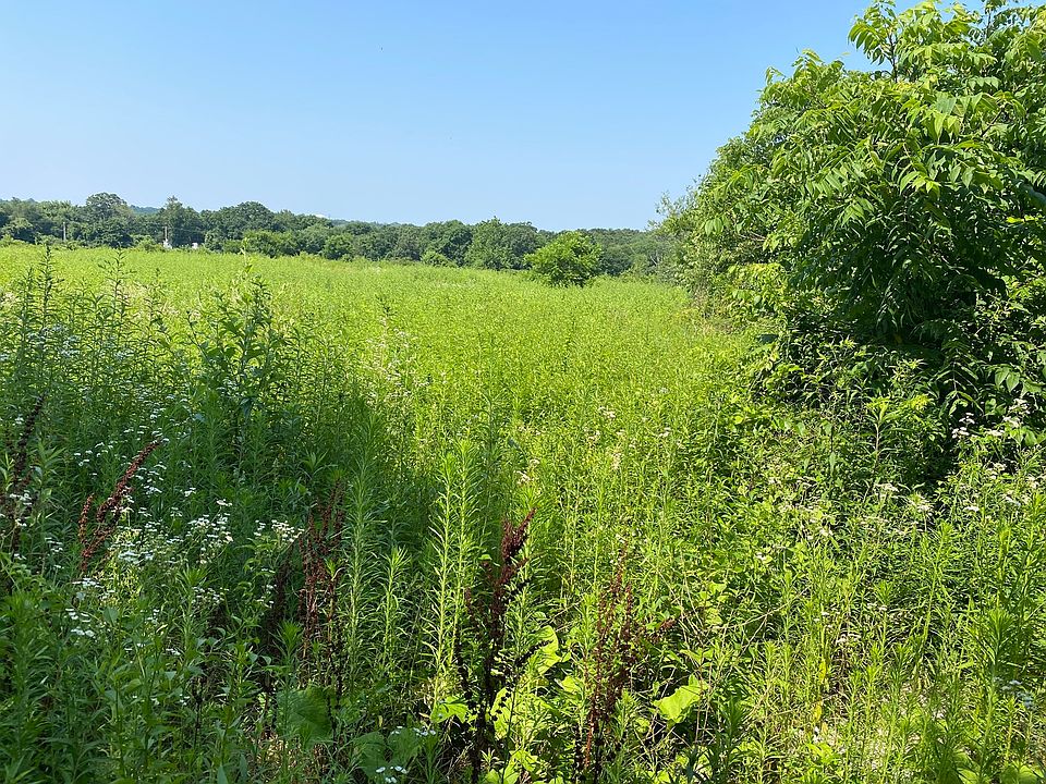 1st image of 256 Pine St Lot 4
