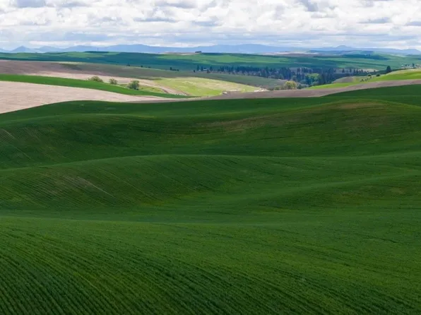 Drive, Rosalia, WA 99170