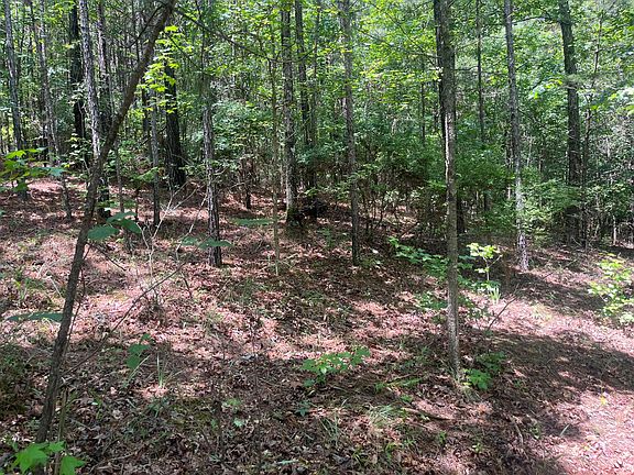 4th image of 83 Stoney Point Rd N