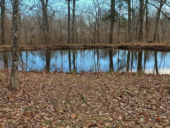 2nd image of 1202 Yankeetown Rd