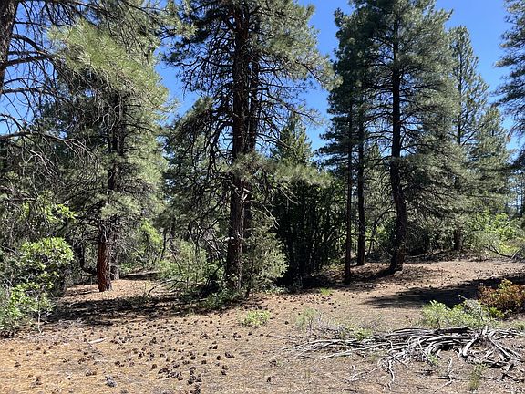 3rd image of Table Bench Rd