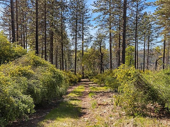 2nd image of 2922 Lost Ridge Way