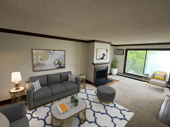 215 Barry Ave S APT 317, Wayzata, MN 55391