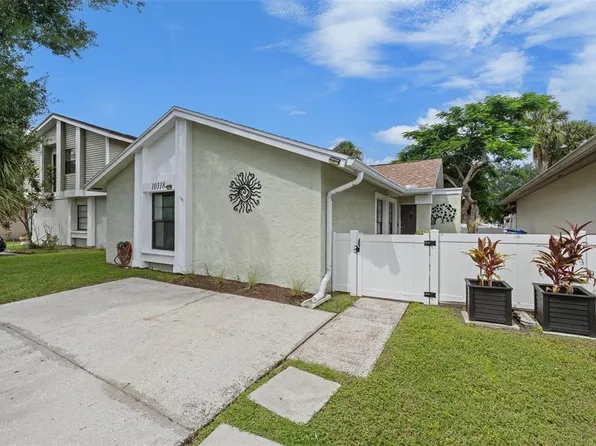 10318 ROSEMOUNT DRIVE, TAMPA, FL 33624