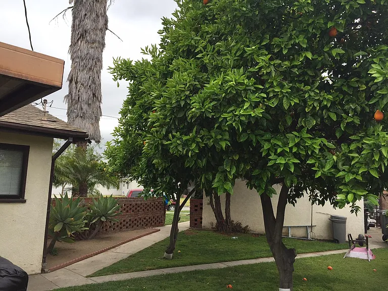 6361 San Marino Cir — Photo 5