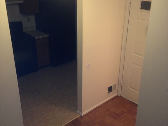 Parquet Floor in Entry