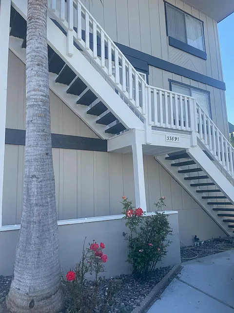 1 bed, 546 sqft, $2,400 — Photo 1