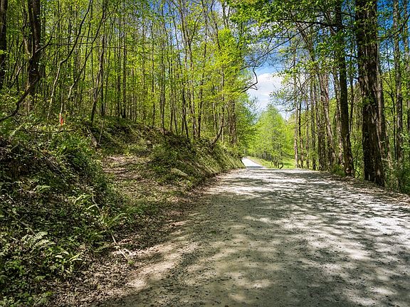 5th image of 891 Bushy Head Rd