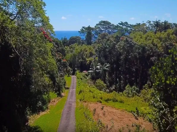 27-2430 Hawaii Belt Rd #3, Papaikou, HI 96781