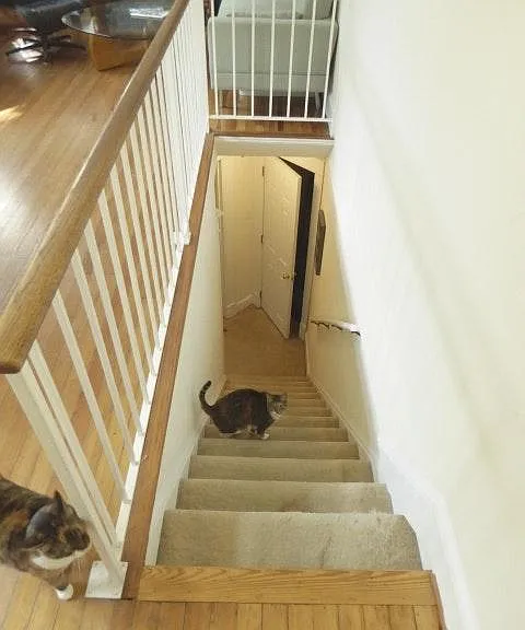 1685 Crescent Pl NW #3 — Photo 8