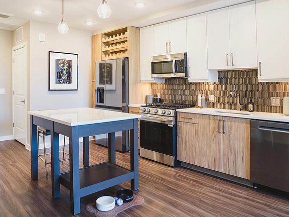Gourmet kitchens feature bold tile backsplash and oversized single basin sinks.