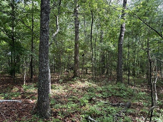 2nd image of 0 Teeters Rd Lot 7