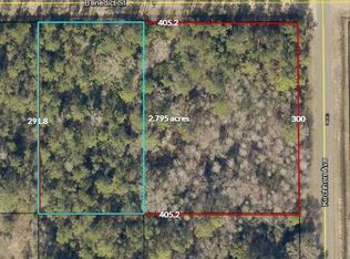 4505 Benedict St, Hastings, FL 32145