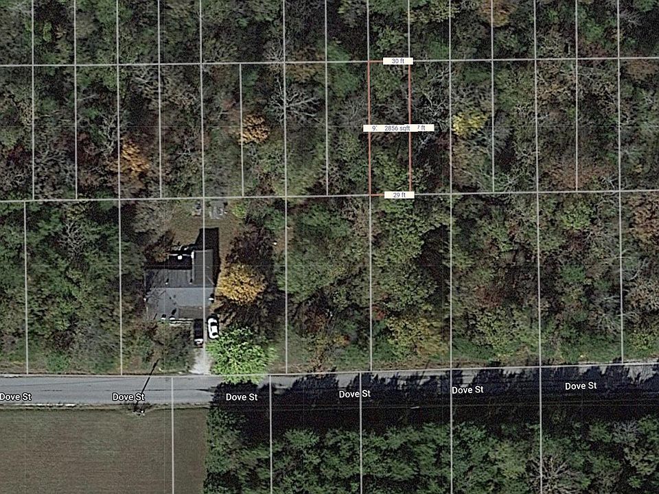 2nd image of LOT 63 Dove St