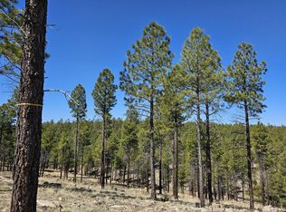 28 Moqui Ranchettes Dr, Happy Jack, AZ 86024