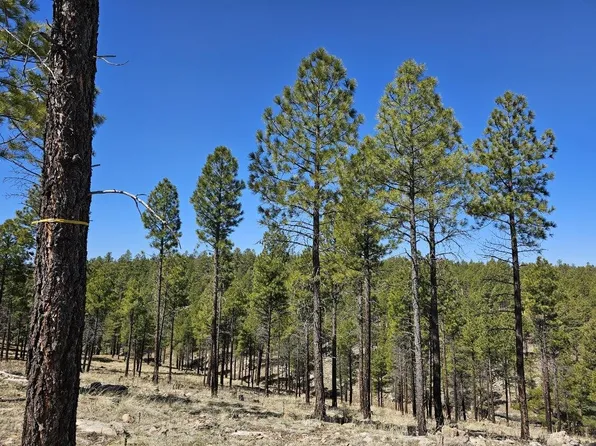 28 Moqui Ranchettes Dr, Happy Jack, AZ 86024