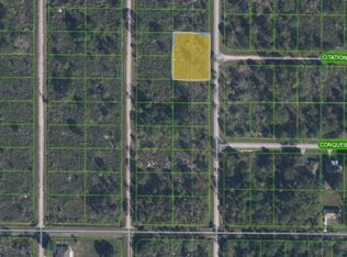 423 Mustang Ave NW, Lake Placid, FL 33852
