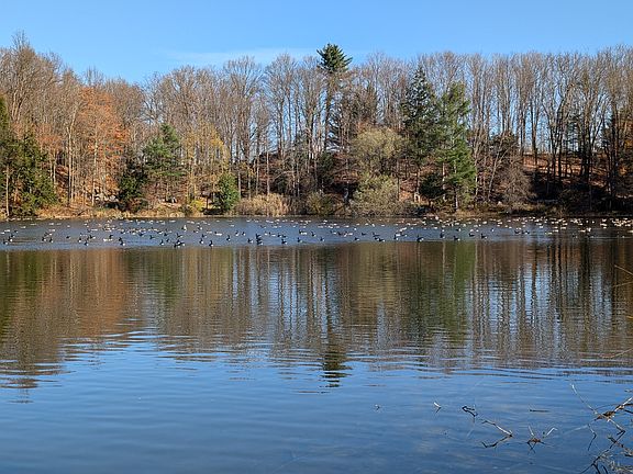 One of the Twin Ponds