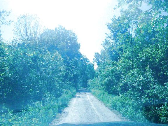 Beautiful drive going up to the house. This home is more of a retreat then just a home...10 ac prope