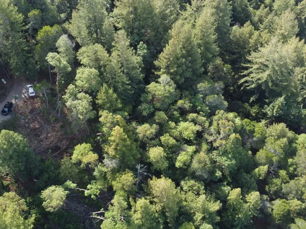 0 Idlewild St, Felton, CA 95018