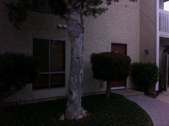 1st image of 251 S Ventura Rd Unit 211