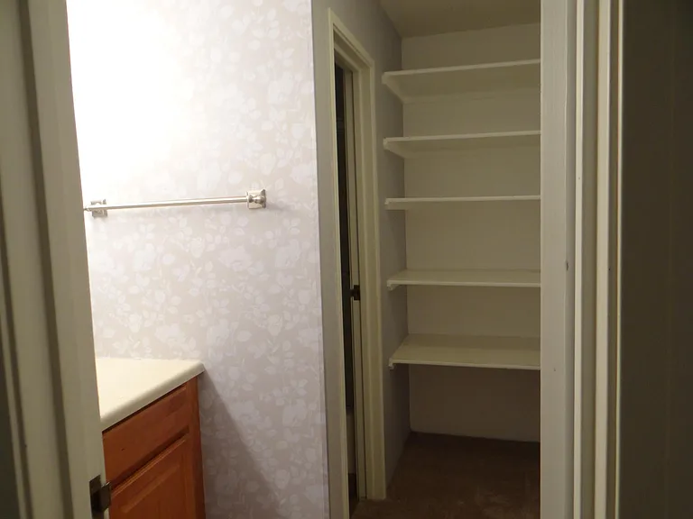 Master Bath and master bath closet