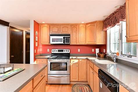 Kitchen - Updated Cabinets and Counters
