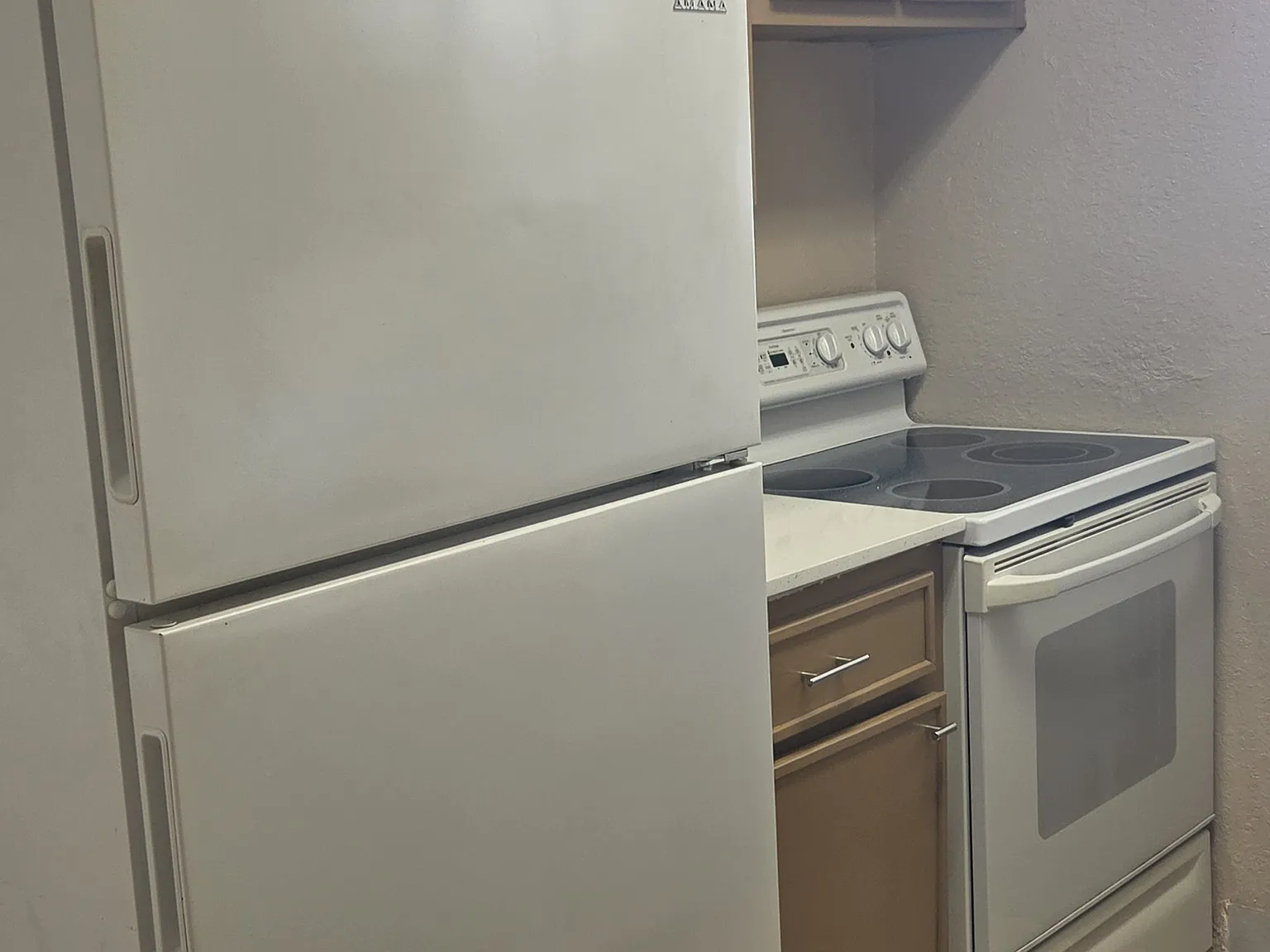 1 bed, 590 sqft, $1,600 — Photo 4
