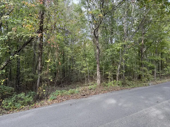 0 Millersburg Rd, Bell Buckle, TN 37020