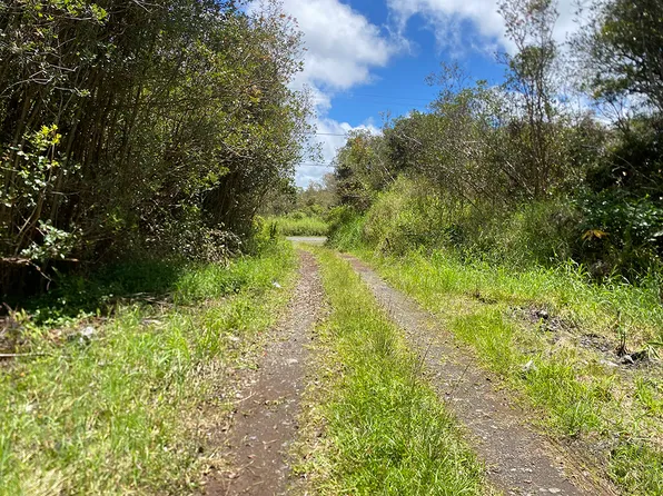 Road 10, Mountain View, HI 96771