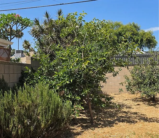787 W Markland Dr — Photo 27
