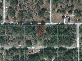 8998 SW 196th Ct, Dunnellon, FL 34432