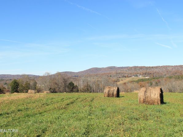 4440 Reed Creek Rd, Pall Mall, TN 38577