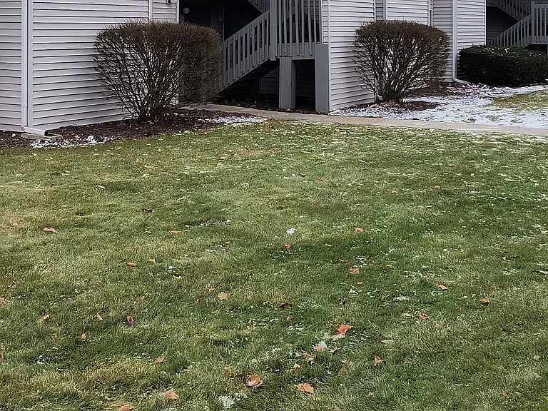 320 W Linden St #2 — Photo 13